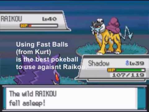 raikou