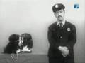 videos de hippie e hippia