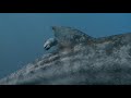 Creeping with Sea Monsters Creeping with Sea Monsters