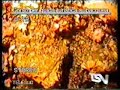 Corso di formazione professionale di guida naturalistica su Corso di formazione professionale di guida naturalistica su