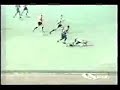 Breve história de um Carrasco Breve história de um Carrasco