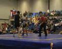 mdi-hollandais mdi-hollandais