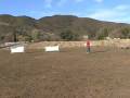 videos de Pax herding at TASK Farm