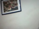 wwe good mat