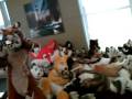 videos de MFF 08 Furpile
