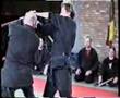 Togakure ryu technique - Sveneric Bogsater