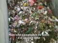 Waste Solutions Technology, The Future of Recycling