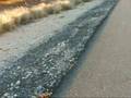 videos de Israel Roller 100 km at Yum Kippur