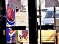 dogentertainmentaudiocd thetippystory maltesedogs