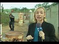 CETTAS NA REDE - TV