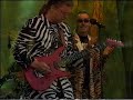 Electric Banana band - Electric Banana Live