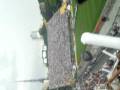 GAAA VIIII OOOES FIEEEEL !!!!