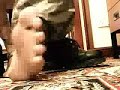 cat boots and cammo cat boots and cammo