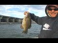 30 Smallmouth Bass in two hours 2 - 5 pounds Idaho