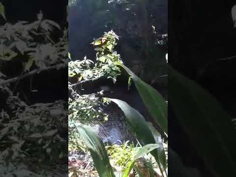 Vídeo