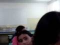 Amigos ainda babys