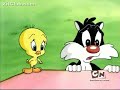 Baby Looney Tunes - Spinout