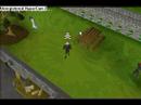 runescape autoers