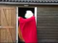 Santa VS Sint