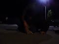 resisting arrest!!!