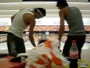 jogando bolixe