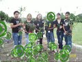 reforestacion