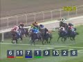 Vote your favorite horse : GOOD BA BA