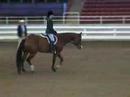 Lauren N Harley Nov. Ammy Hunt Seat Eq.