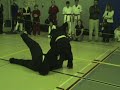 Fight Set