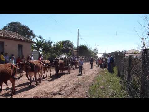 FESTA DO CARRO DE BOI EM MACUCO DE MINAS 