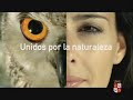 Spot de Televisi�n [Versi�n Corta]