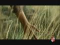 videos de Spot de Televisión [Versión Corta]