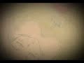 AMV - Closer AMV - Closer