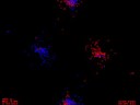 22x22 particles in rotation