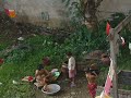 Myanmar - Hsipaw