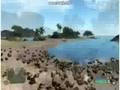 Crysis: Exterminate the Chickens