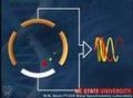 Fourier Transform Ion Cyclotron Resonance Mass Spectrometry