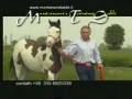 MONTANARI STABLE.wmv