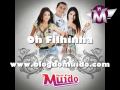 forro do muido