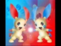 Plusle and Minun - Hamster Dance