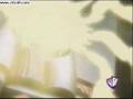 Plusle and Minun - Hamster Dance