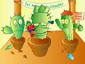 fat plants in concert piante grasse in concerto