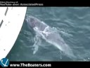 181: Fire Extinguishers, Baby Whale, Wrino & Bazooka Bailer 181: Fire Extinguishers, Baby Whale, Wrino & Bazooka Bailer