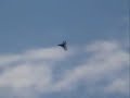 Samo Kuder JET Wild Hornet - ambient music edition