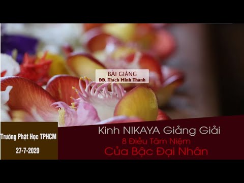 Kinh NIKAYA Giảng Giải - 8 Điều Tâm Niệm Của Bậc Đại Nhân 