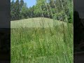 swiss folk music with landscapes from the Emmental