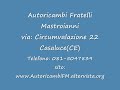 Autoricambi,Fratelli,Mastroianni