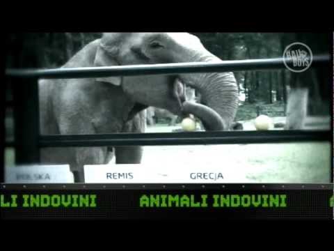 Vedi il video