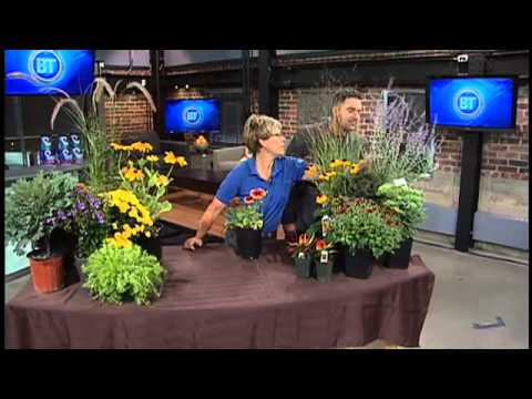 how to properly fertilize your garden