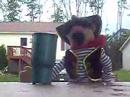 Snotty Gets a Home Snotty Gets a Home
